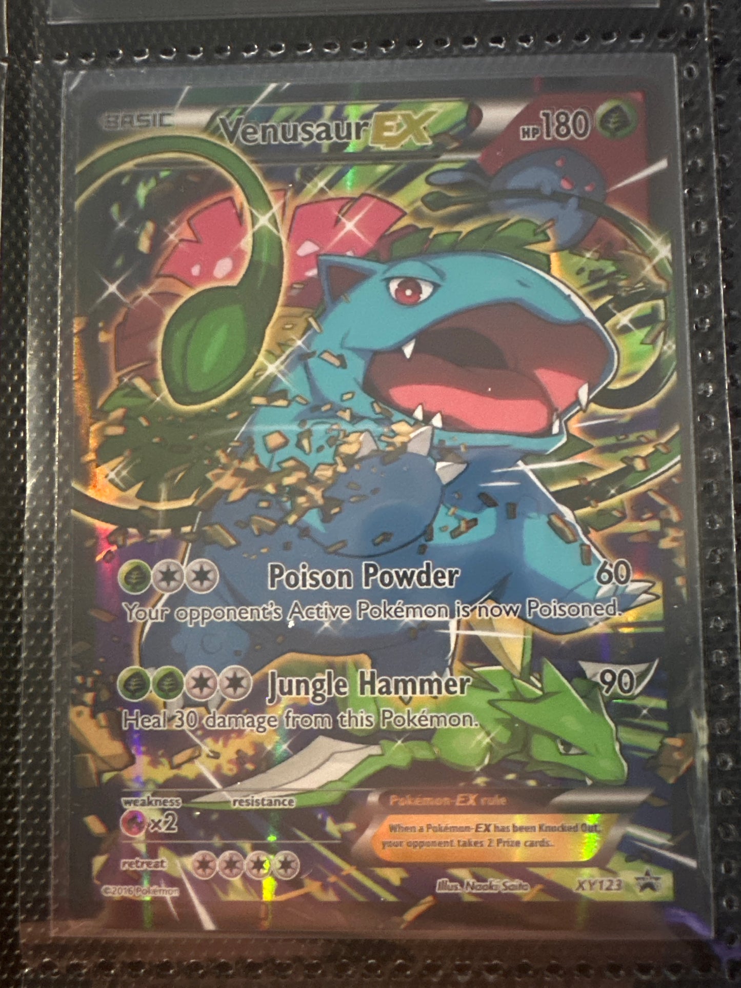 Venusaur EX - XY 123 Promo